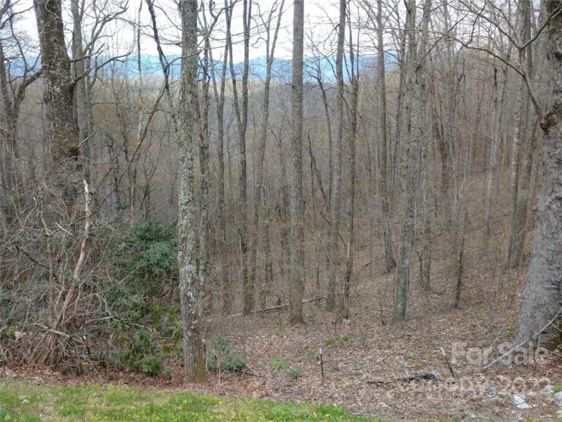 Property image 2 at 0000 Rainbow Trout Drive, Spruce Pine, NC 28777