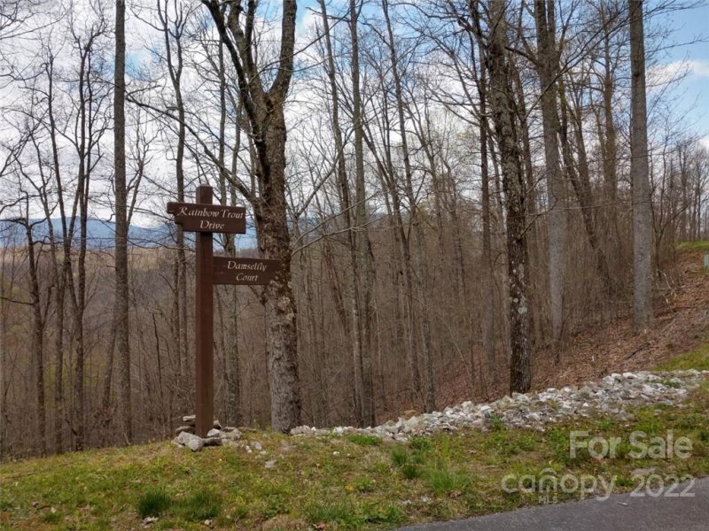 Property image 3 at 0000 Rainbow Trout Drive, Spruce Pine, NC 28777