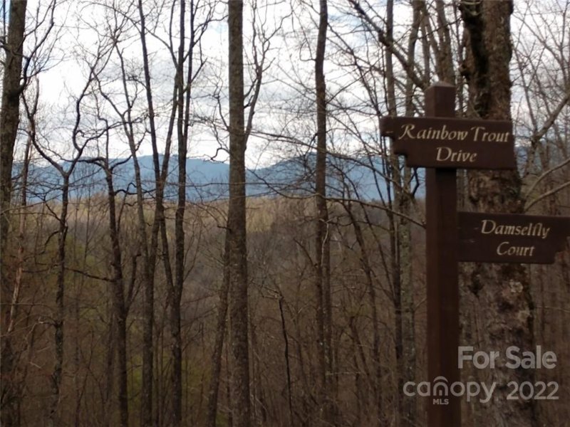 Property image 4 at 0000 Rainbow Trout Drive, Spruce Pine, NC 28777