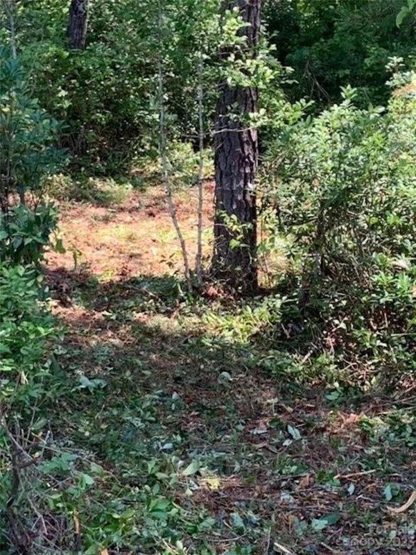 Property image 4 at 3 42 Acres Lot 1 John Wilson Lane, Collettsville, NC 28611