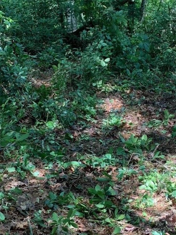 Property image 5 at 3 42 Acres Lot 1 John Wilson Lane, Collettsville, NC 28611