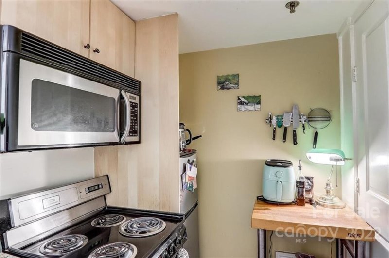 Property image 4 at 37 Hiawassee Street, Asheville, NC 28801