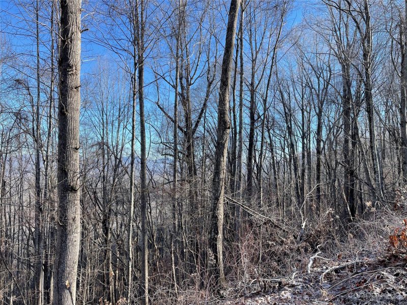 Property image 2 at Lot 13 Smokey Ridge Loop, Waynesville, NC 28786