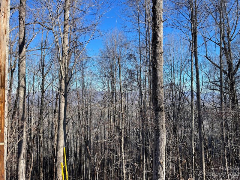 Property image 3 at Lot 13 Smokey Ridge Loop, Waynesville, NC 28786