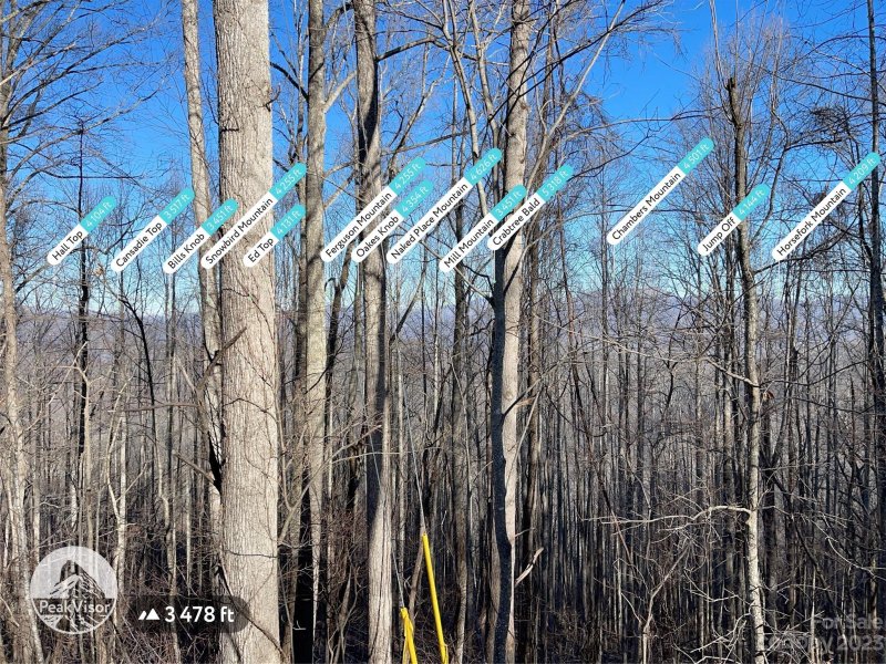 Property image 4 at Lot 13 Smokey Ridge Loop, Waynesville, NC 28786