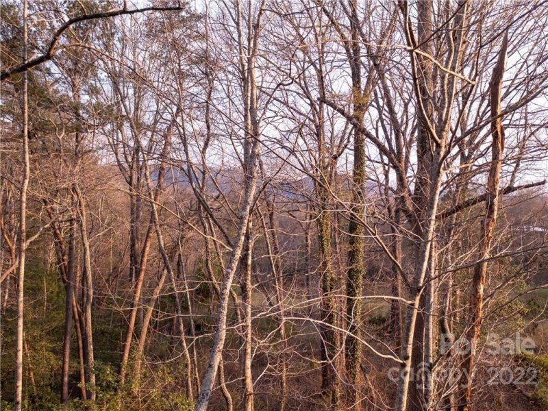 Property image 2 at 25 Trail Top Drive, Asheville, NC 28805