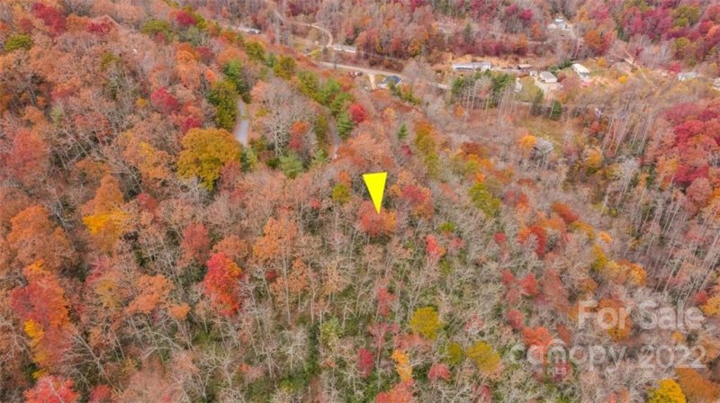 Property image 3 at 82 Davey Crockett Road, Fairview, NC 28730