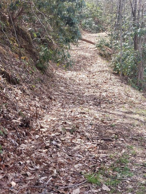Property image 3 at 00 Old Crow Road, Maggie Valley, NC 28751