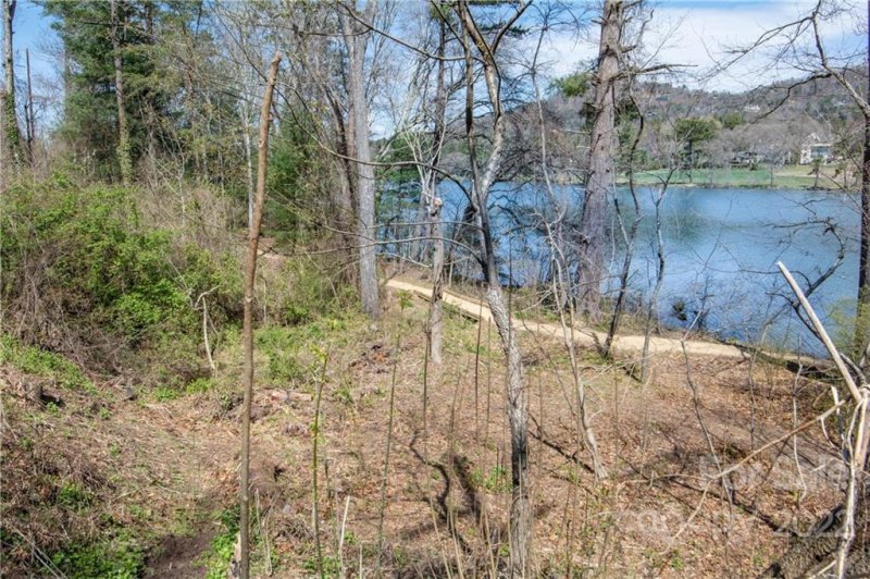 Property image 5 at 99999 Lakeshore Drive, Asheville, NC 28804