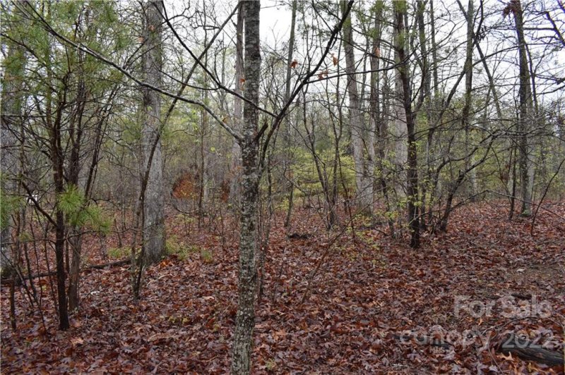 Property image 4 at 5176 Kings Pinnacle Drive, Kings Mountain, NC 28086