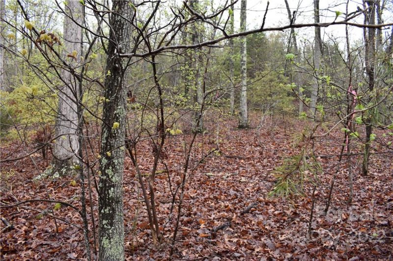 Property image 5 at 5176 Kings Pinnacle Drive, Kings Mountain, NC 28086