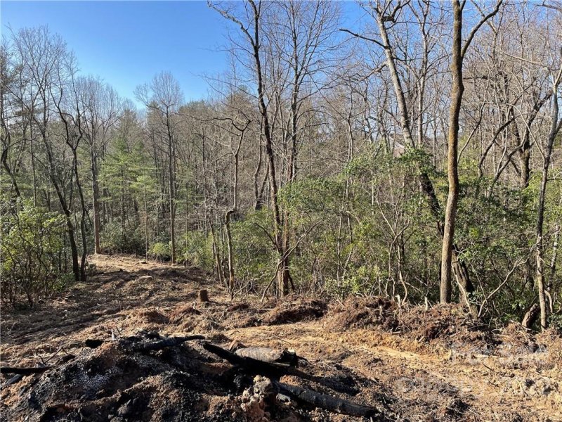 Property image 2 at Lot 54 Winterberry Drive, Hendersonville, NC 28739