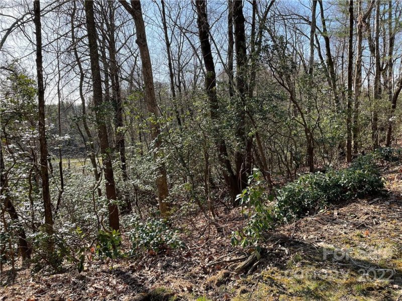 Property image 5 at Lot 54 Winterberry Drive, Hendersonville, NC 28739