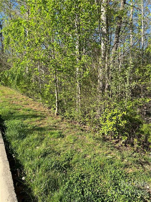 Property image 3 at 1306 Prince William Drive, Lenoir, NC 28645