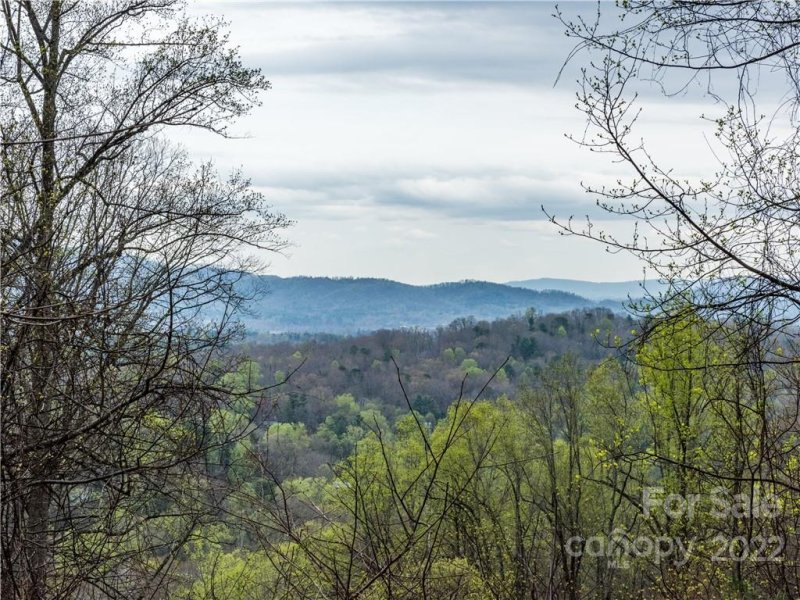 Property image 3 at 160 Laurel Road, Arden, NC 28704