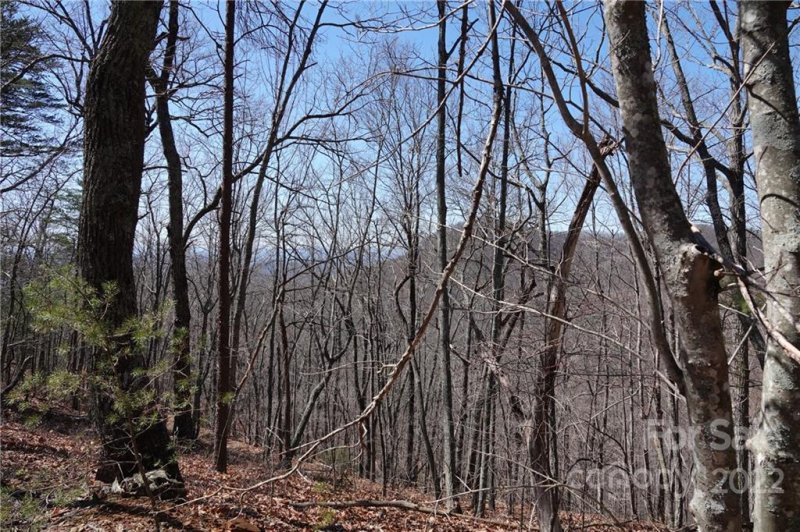 Property image 3 at 27 Mountain Lookout Drive, Bostic, NC 28018