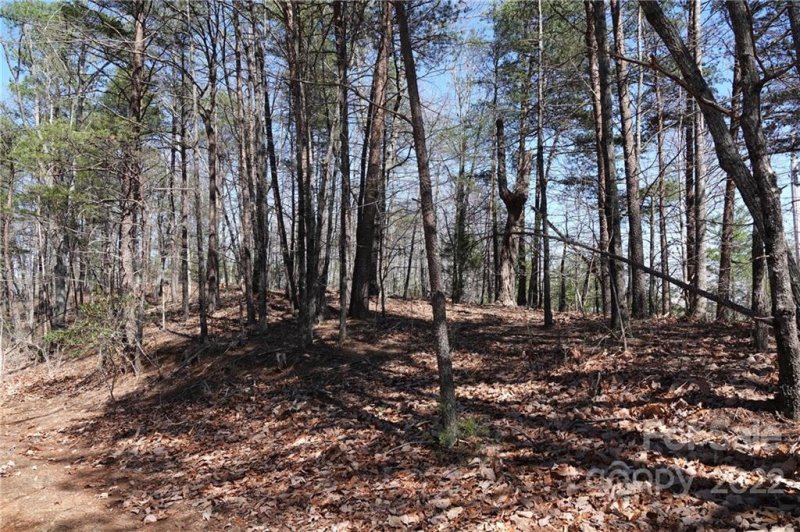 Property image 5 at 27 Mountain Lookout Drive, Bostic, NC 28018