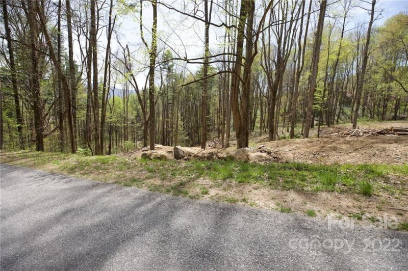 Property image 3 at 321 Eagle Gap Road, Waynesville, NC 28786