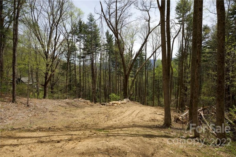 Property image 5 at 321 Eagle Gap Road, Waynesville, NC 28786