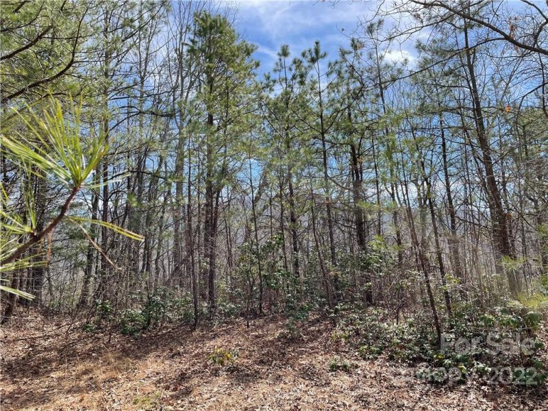 Property image 2 at 822 Quest Ridge, Sylva, NC 28779