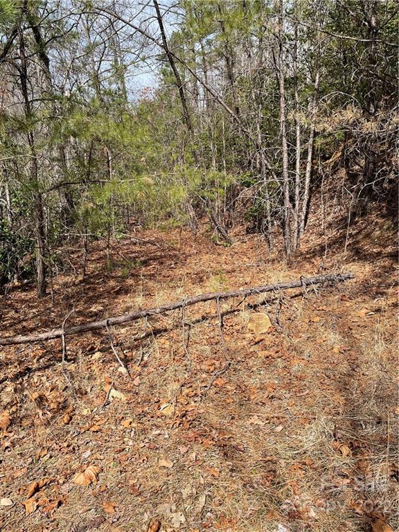 Property image 4 at 822 Quest Ridge, Sylva, NC 28779