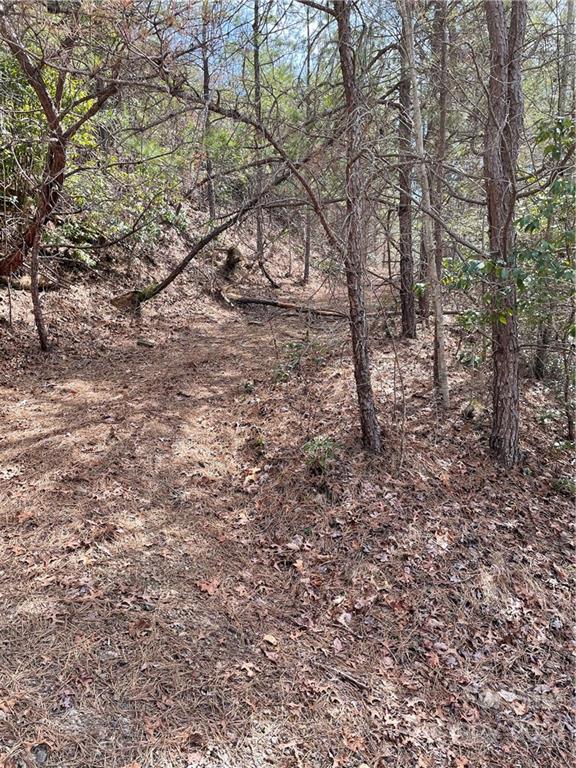 Property image 5 at 822 Quest Ridge, Sylva, NC 28779