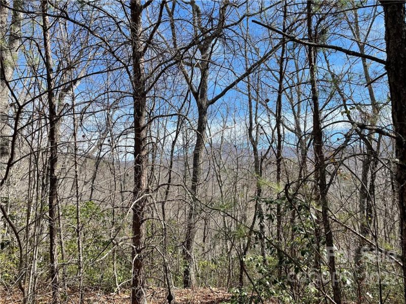 Property image 2 at 00 Quest Ridge, Sylva, NC 28779