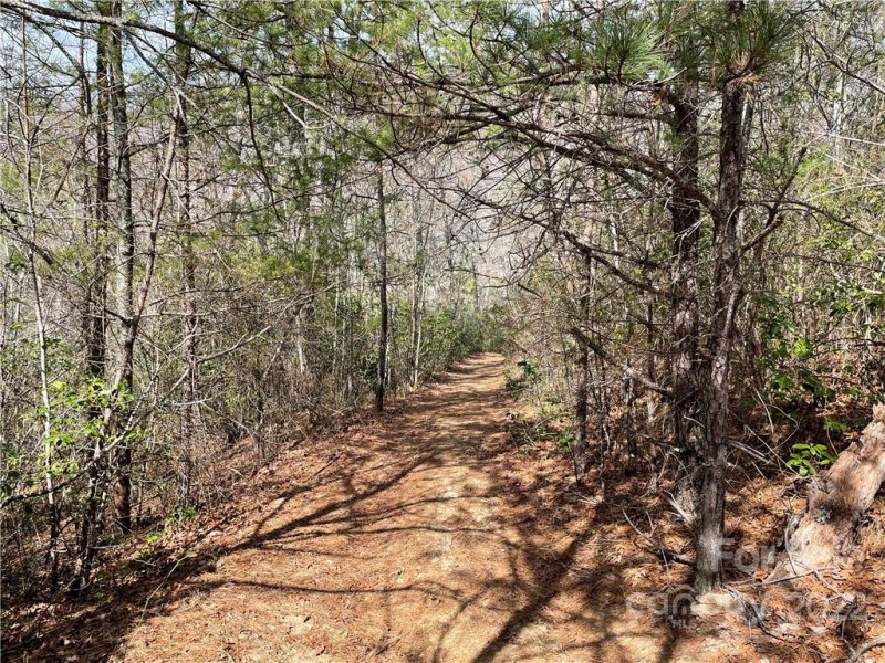 Property image 5 at 00 Quest Ridge, Sylva, NC 28779