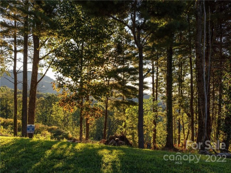 Property image 2 at Lot 183 Dancing Bear Drive, Hendersonville, NC 28792
