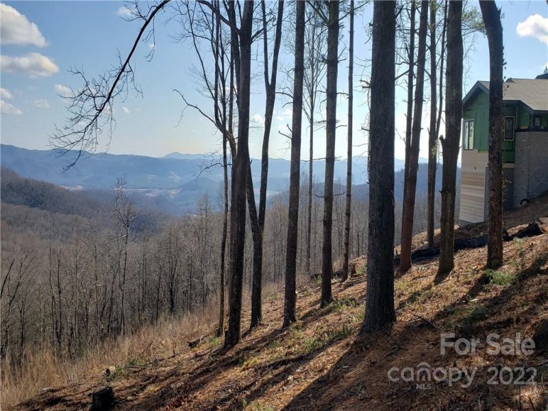 Property image 5 at Lot 183 Dancing Bear Drive, Hendersonville, NC 28792