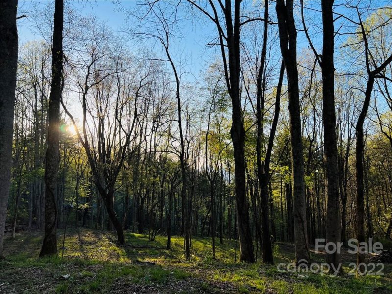 Property image 3 at 321 Eagle Gap Road, Waynesville, NC 28786
