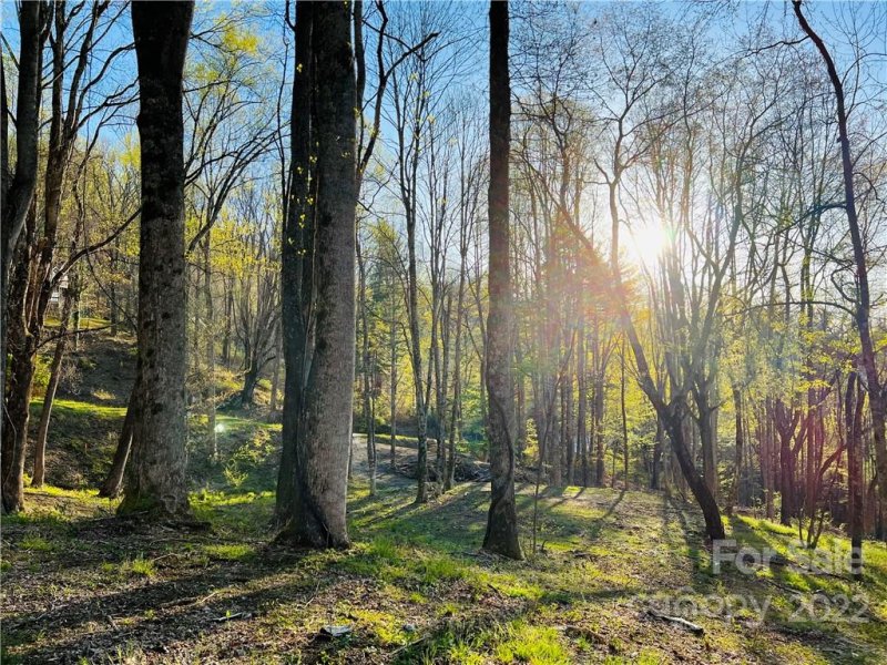 Property image 4 at 321 Eagle Gap Road, Waynesville, NC 28786