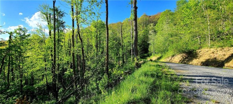 Property image 2 at 0 774 Acres Centurian Lane, Maggie Valley, NC 28751