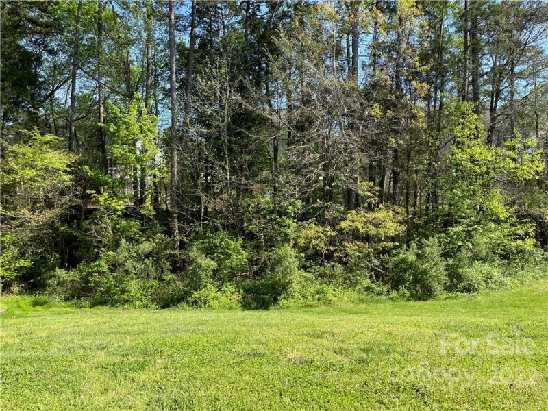 Property image 3 at 1119 Boxelder Lane, Charlotte, NC 28262