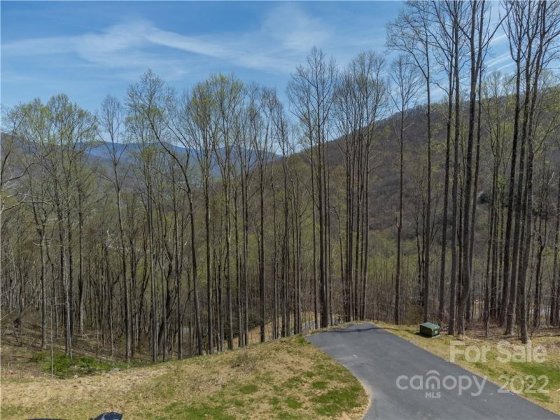 Property image 5 at 1411 Easy Wind Drive, Swannanoa, NC 28778