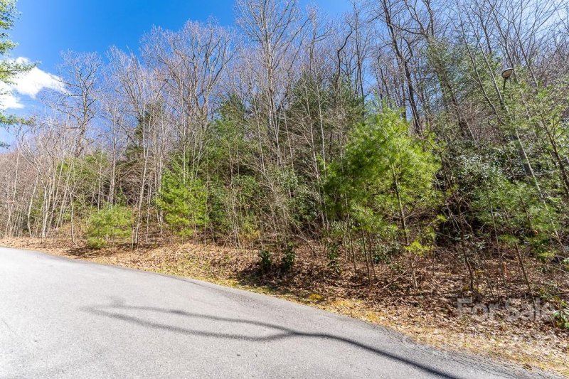 Property image 4 at 99999 Bartlett Mountain Road, Asheville, NC 28805