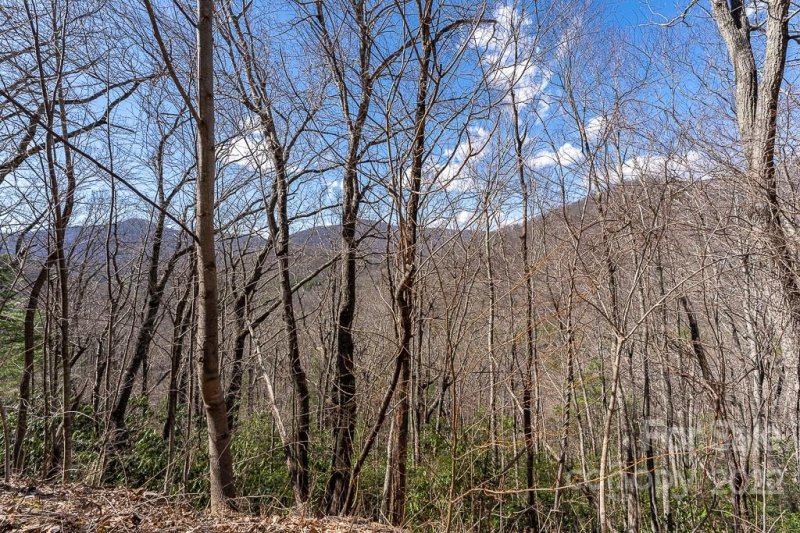 Property image 5 at 99999 Bartlett Mountain Road, Asheville, NC 28805