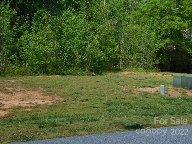 Property image 5 at 0 Maple Brook Drive, Denver, NC 28037