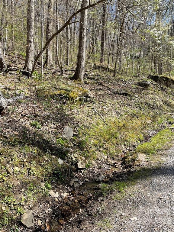 Property image 2 at Lot 21 Fall Creek Road, Waynesville, NC 28785