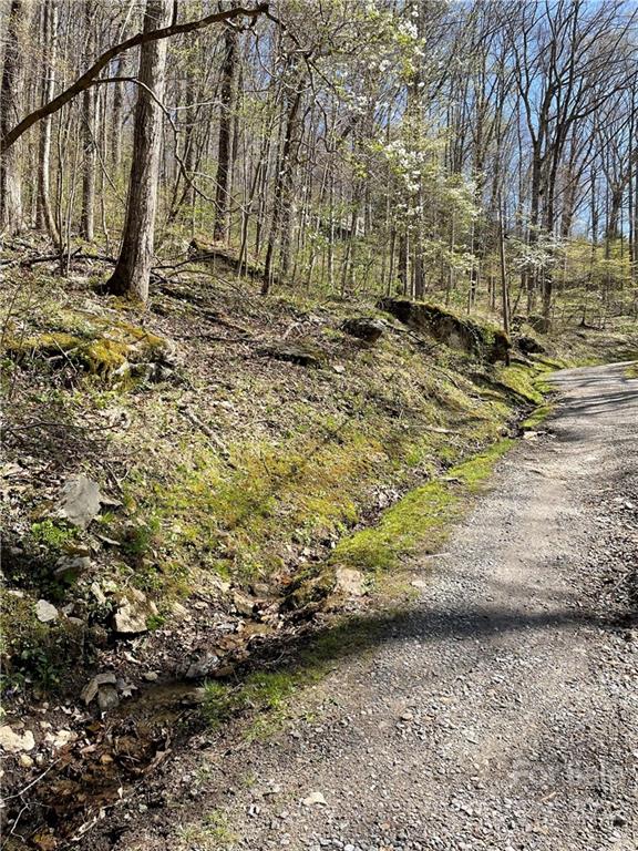 Property image 3 at Lot 21 Fall Creek Road, Waynesville, NC 28785
