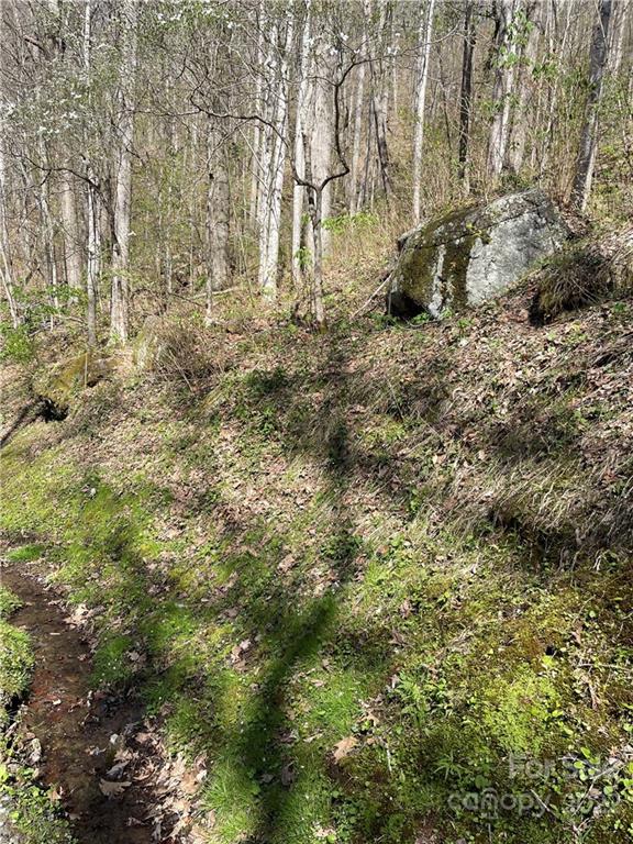 Property image 4 at Lot 21 Fall Creek Road, Waynesville, NC 28785
