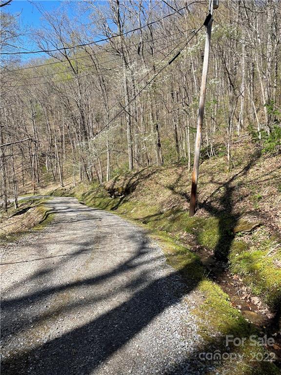 Property image 5 at Lot 21 Fall Creek Road, Waynesville, NC 28785