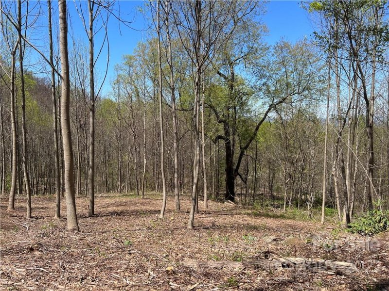 Property image 2 at 153 View Ridge Parkway, Leicester, NC 28748