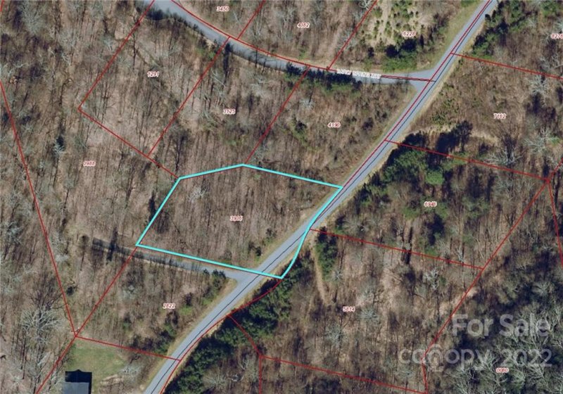 Property image 3 at 153 View Ridge Parkway, Leicester, NC 28748