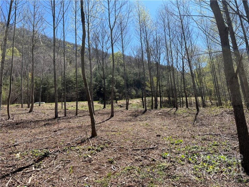 Property image 4 at 153 View Ridge Parkway, Leicester, NC 28748