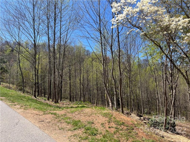 Property image 5 at 153 View Ridge Parkway, Leicester, NC 28748