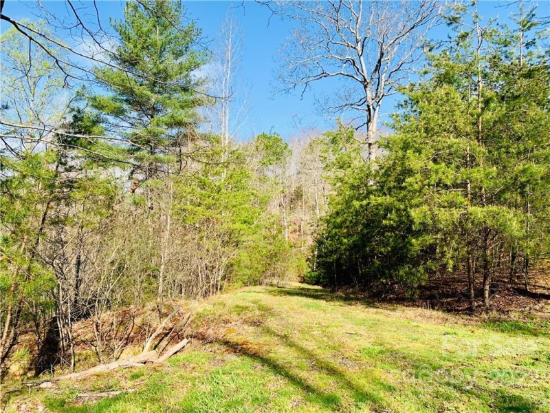 Property image 2 at 196 Red Fox Trail, Marshall, NC 28753