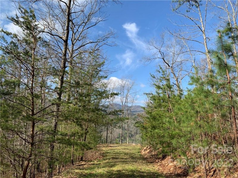 Property image 3 at 196 Red Fox Trail, Marshall, NC 28753