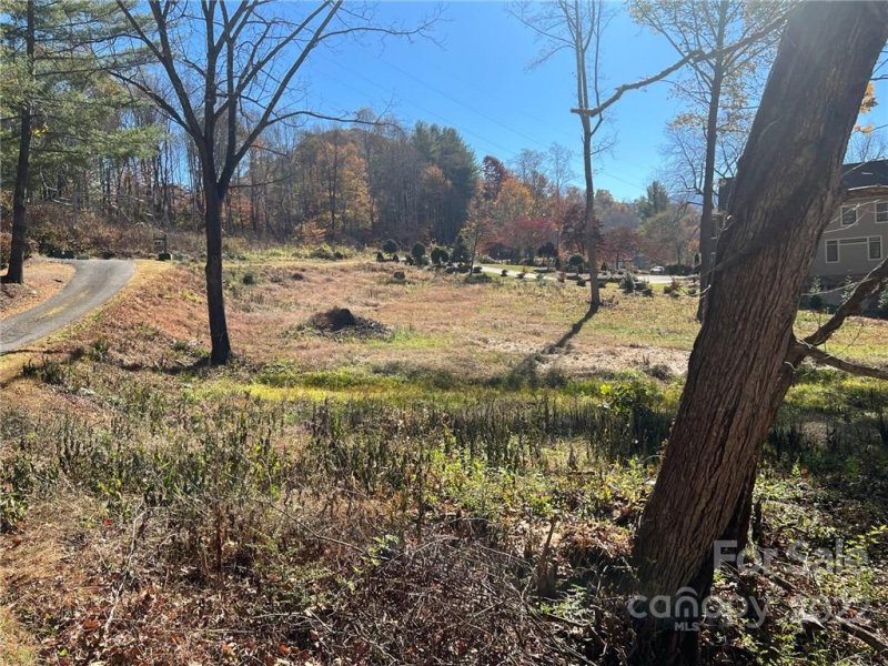 Property image 3 at Lot 17b Country Club Drive, Canton, NC 28716