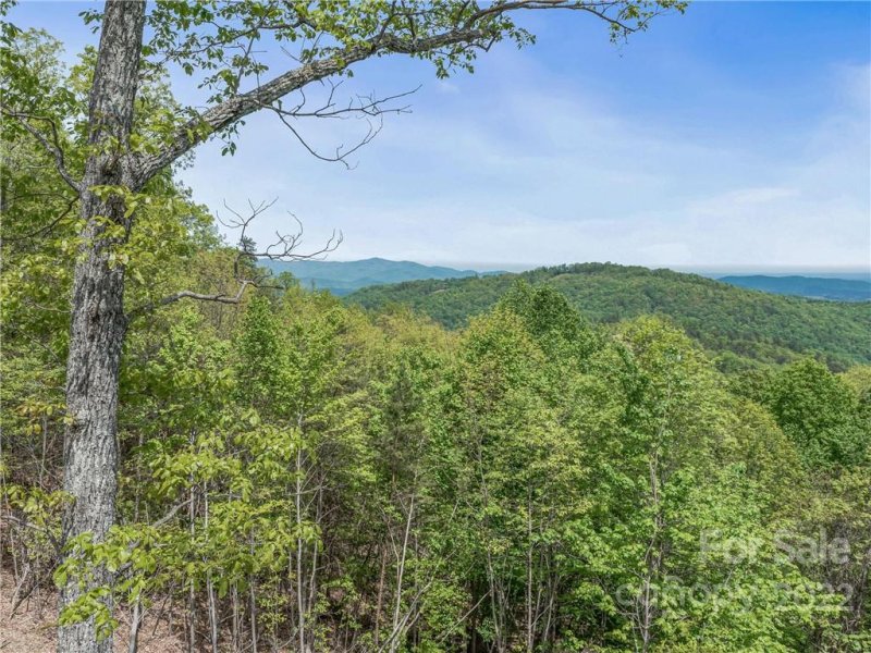 Property image 4 at 116 Inspiration Ridge Drive, Bostic, NC 28018